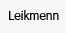 Leikmenn